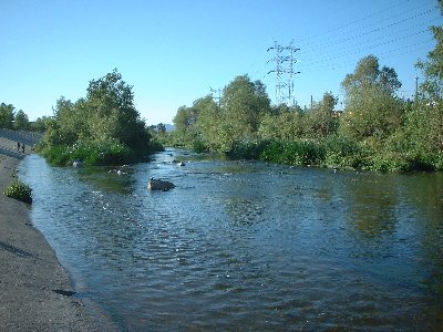 LA River.jpg